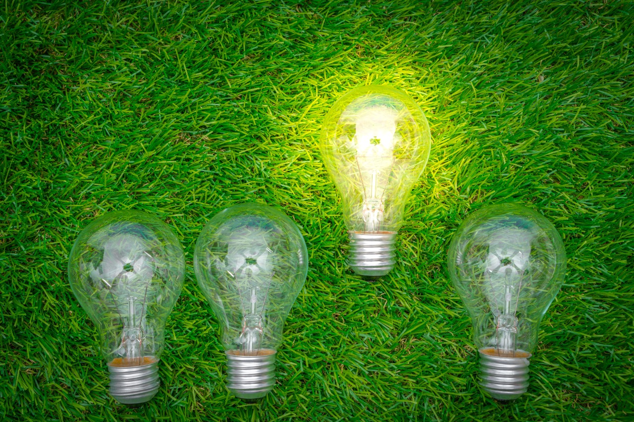 lâmpadas em fundo verde o que sugere economizar energia elétrica